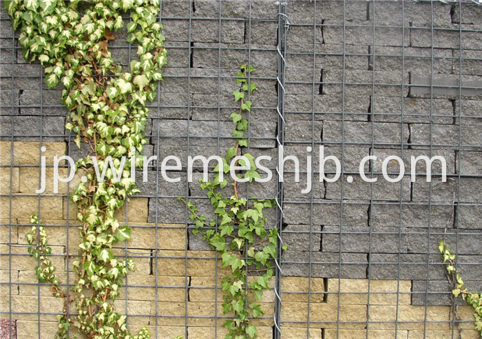 Welded Mesh Gabion